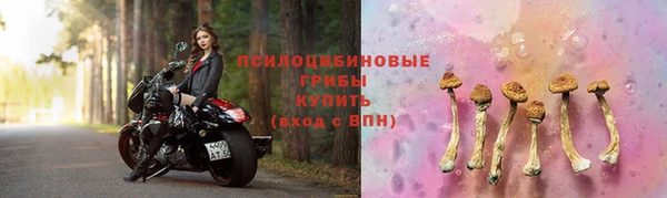 ECSTASY Верхний Тагил