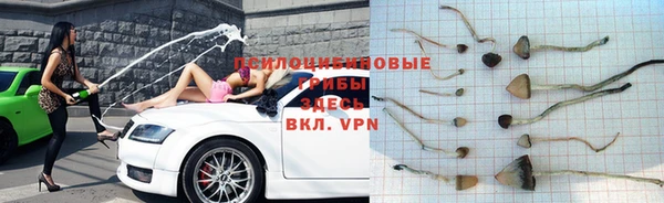 jwh Верея