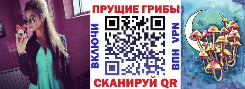 Псилоцибиновые грибы мицелий  Купить где  Сольвычегодск 